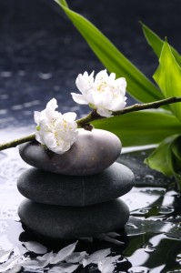 Black massage stones with cherry ,petal on water drops